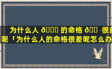 为什么人 🐅 的命格 🐠 很差呢「为什么人的命格很差呢怎么办」